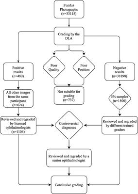 Screening Referable Diabetic Retinopathy Using a Semi-automated Deep Learning Algorithm Assisted Approach